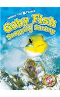 Goby Fish and Snapping Shrimp