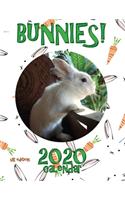 Bunnies! 2020 Calendar (UK Edition)