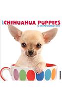 Just Chihuahua Puppies 2017 Wall Calendar