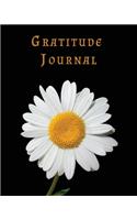 Gratitude Journal