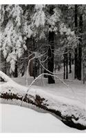 2019 Daily Planner Winter Fallen Tree Snow 384 Pages