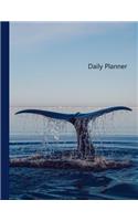 Daily Planner: 2019 - 2020 Yearly Planner Dolphin Fin Cover January 19 - December 19 Writing Notebook Diary Journal Datebook Calendar Schedule Plan Days, Set Goals