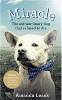 Miracle: The Extraordinary Dog That Refused to Die