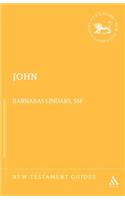 John: (New Testament Guides)