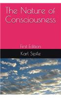 The Nature of Consciousness