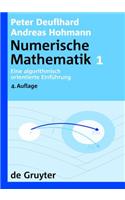 Eine Algorithmisch Orientierte Einführung: (de Gruyter Lehrbuch)