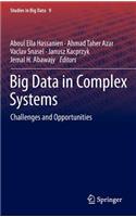 Big Data in Complex Systems: Challenges and Opportunities