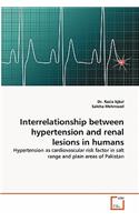 Interrelationship between hypertension and renal lesions in humans