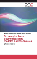 Sobre estructuras geométricas para modelos q-exponenciales