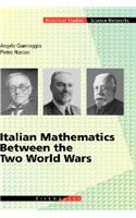 Italian Mathematics Between the Two World Wars