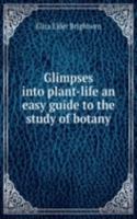 GLIMPSES INTO PLANT-LIFE AN EASY GUIDE