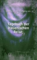 TAGEBUCH DER ITALIENISCHEN REISE