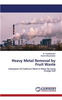 Heavy Metal Removal by Fruit Waste