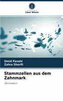 Stammzellen aus dem Zahnmark