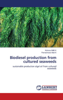 Biodiesel production from cultured seaweeds