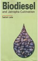Biodiesel And Jatropha Plantation