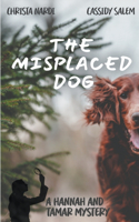 Misplaced Dog