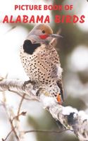 Picture Book of Alabama Birds: Colorful Extra-Large Print Bird Pictures with Names - A Gift/Present Book Idea for Alzheimer's Patients, Seniors with Dementia and Adults Facing oth