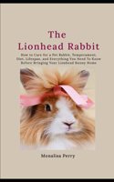 The Lionhead Rabbit
