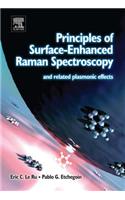 Principles of Surface-Enhanced Raman Spectroscopy: And Related Plasmonic Effects