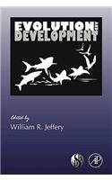 Evolution and Development