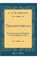 Trichopterygia: Beschreibung Und Abbildung Der HaarflÃ¼geligen KÃ¤fer (Classic Reprint): Beschreibung Und Abbildung Der HaarflÃ¼geligen KÃ¤fer (Classic Reprint)