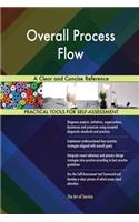 Overall Process Flow A Clear and Concise Reference