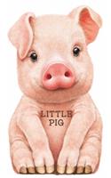 Little Pig