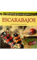Escarabajos: (Dominie Mundo de Invertebrados Dominie)