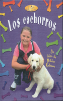 Los Cachorros (Puppies)