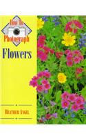 How to Photograph Flowers