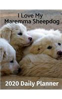 I Love My Maremma Sheepdog