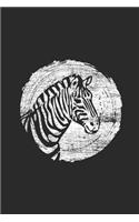 Zebra Side View