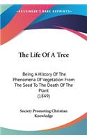 Life Of A Tree