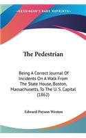 The Pedestrian