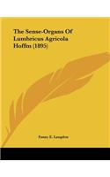 Sense-Organs Of Lumbricus Agricola Hoffm (1895)