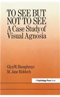 To See But Not to See: A Case Study of Visual Agnosia