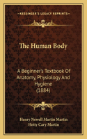 Human Body