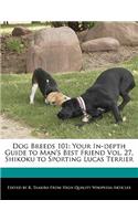 Dog Breeds 101