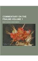 Commentary on the Psalms Volume 1: (English)