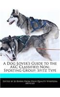 A Dog Lover's Guide to the Akc Classified Non-Sporting Group: Spitz Type