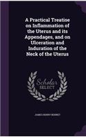A Practical Treatise on Inflammation of the Uterus and its Appendages, and on Ulceration and Induration of the Neck of the Uterus