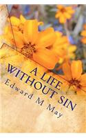 Life Without Sin