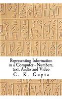 Representing Information in a Computer