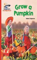 Reading Planet - Grow a Pumpkin - Red B