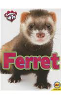 Caring for My Pet Ferret