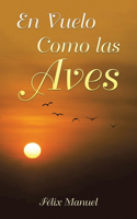 Vuelo Como las Aves