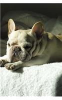 Sweet French Bulldog Pup on the Bed Journal