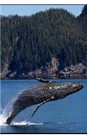 Alaska Journal - Humpback Whale Breaching: 150 page lined notebook/diary