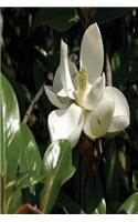 Floral Journal Fresh Magnolia Bloom